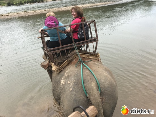 34 ����: ������ 2017. ����