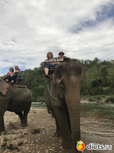 35 ����: ������ 2017. ����