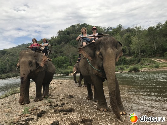 36 ����: ������ 2017. ����