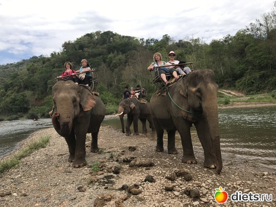 37 ����: ������ 2017. ����