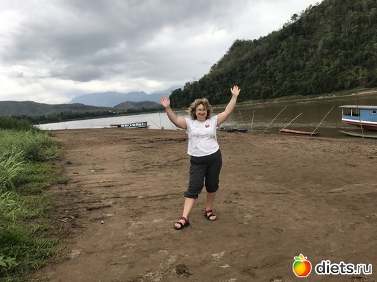 206 ����: ������ 2017. ����