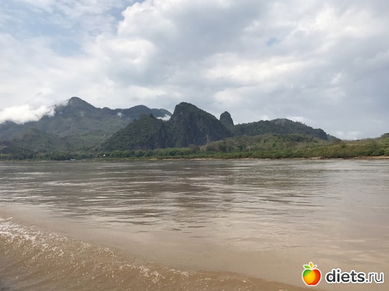 207 ����: ������ 2017. ����