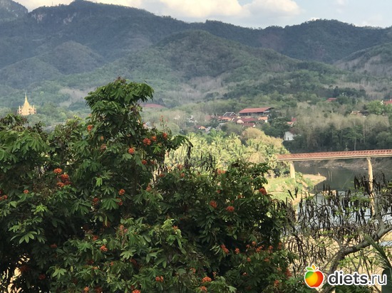 270 ����: ������ 2017. ����