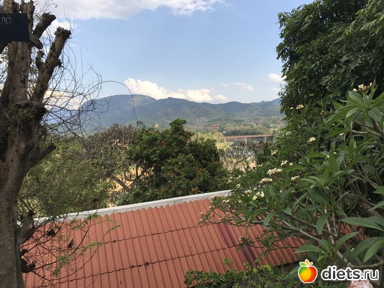 271 ����: ������ 2017. ����