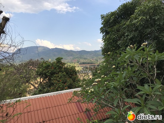 272 ����: ������ 2017. ����