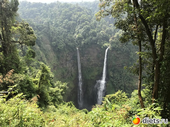 417 ����: ������ 2017. ����