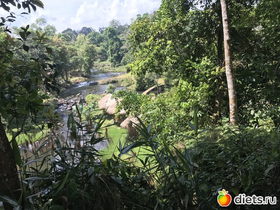 419 ����: ������ 2017. ����