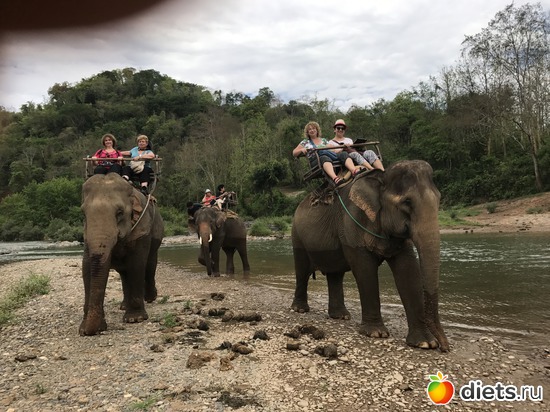 38 ����: ������ 2017. ����