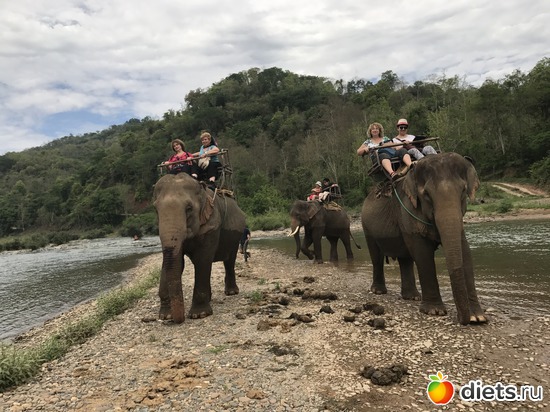 39 ����: ������ 2017. ����