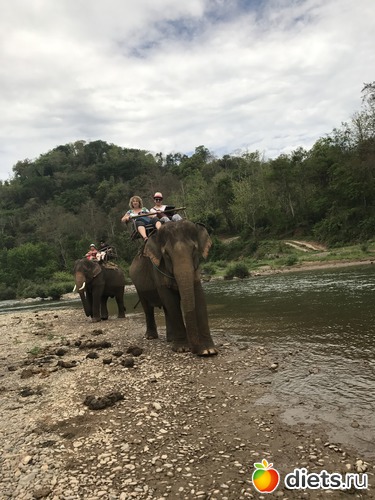 40 ����: ������ 2017. ����