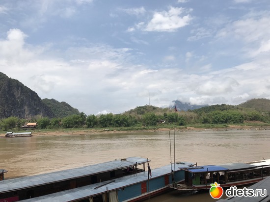 213 ����: ������ 2017. ����