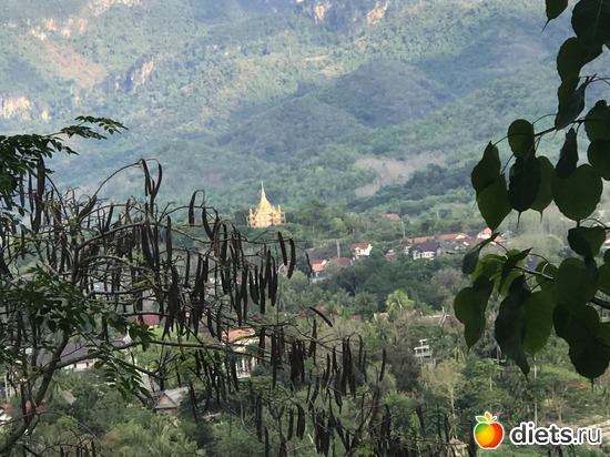 274 ����: ������ 2017. ����