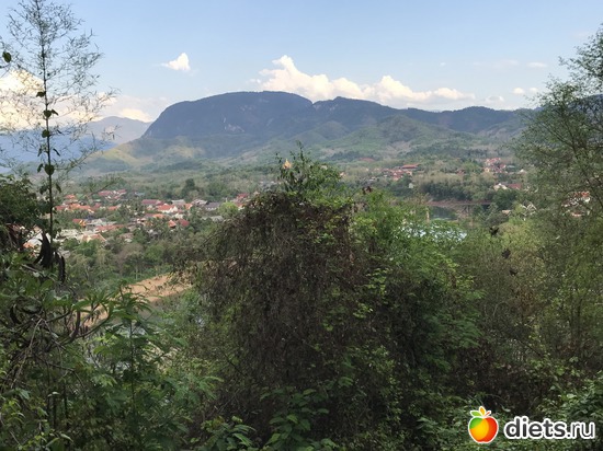 275 ����: ������ 2017. ����