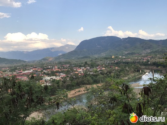 276 ����: ������ 2017. ����