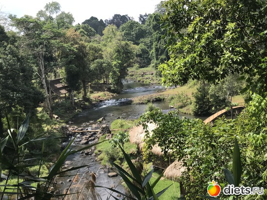 421 ����: ������ 2017. ����