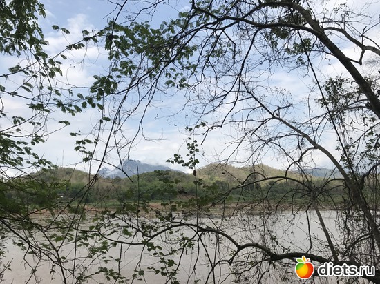 217 ����: ������ 2017. ����