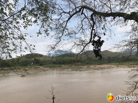 218 ����: ������ 2017. ����