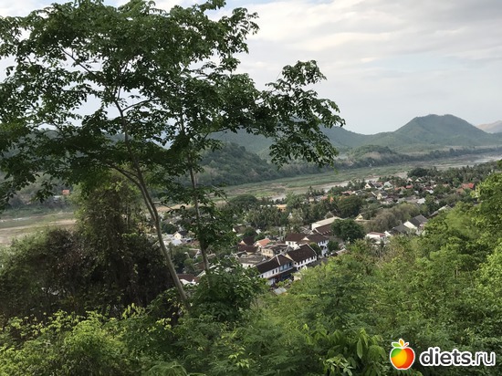 281 ����: ������ 2017. ����