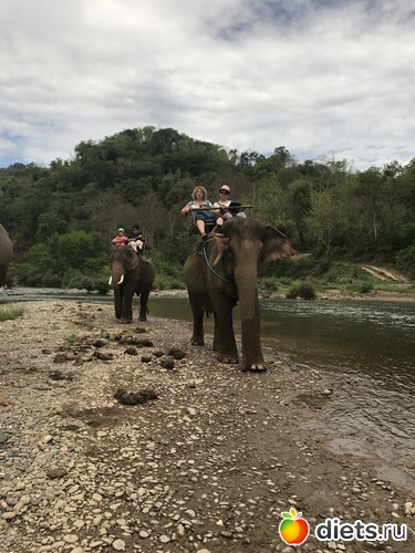 41 ����: ������ 2017. ����