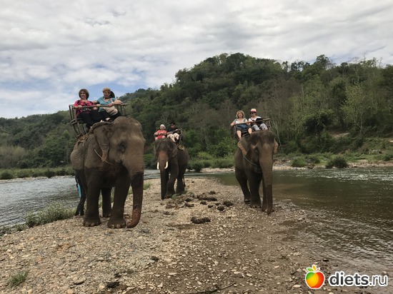 42 ����: ������ 2017. ����