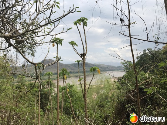 219 ����: ������ 2017. ����