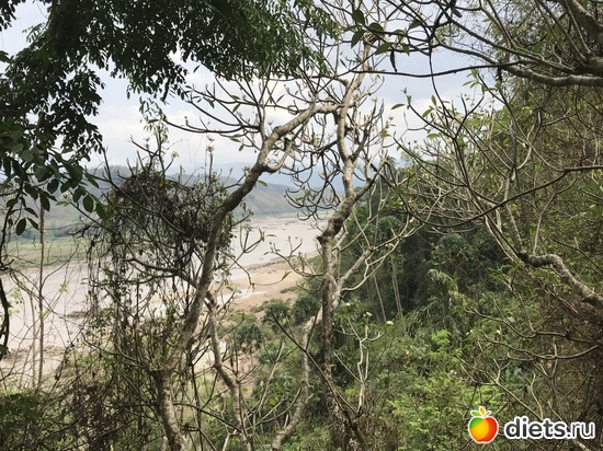 220 ����: ������ 2017. ����