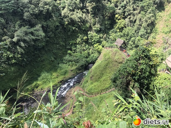 422 ����: ������ 2017. ����