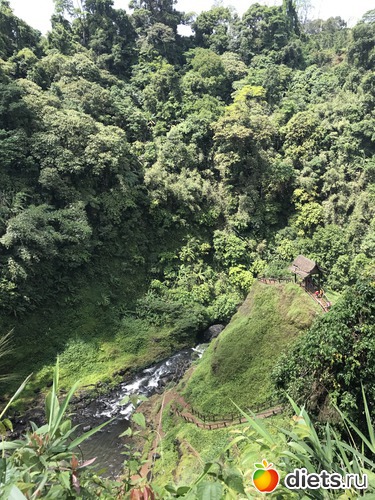 423 ����: ������ 2017. ����