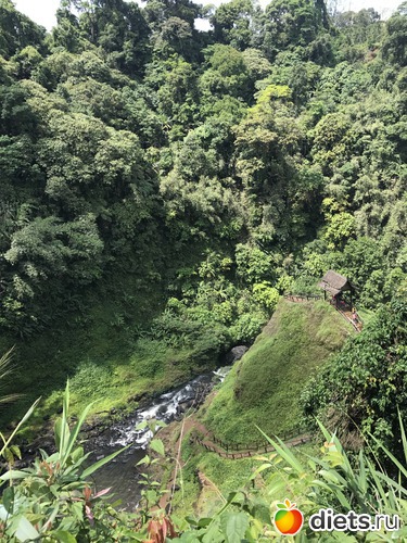 424 ����: ������ 2017. ����