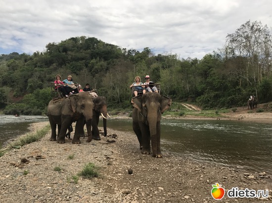 43 ����: ������ 2017. ����