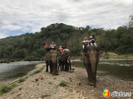 44 ����: ������ 2017. ����