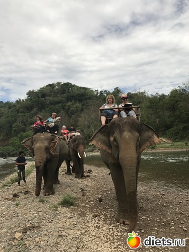 45 ����: ������ 2017. ����