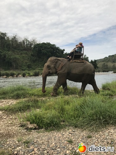 46 ����: ������ 2017. ����