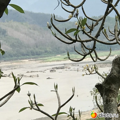 221 ����: ������ 2017. ����