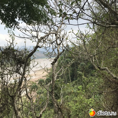 222 ����: ������ 2017. ����