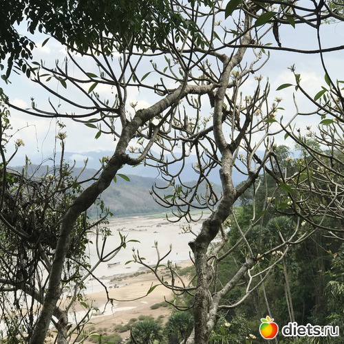 223 ����: ������ 2017. ����