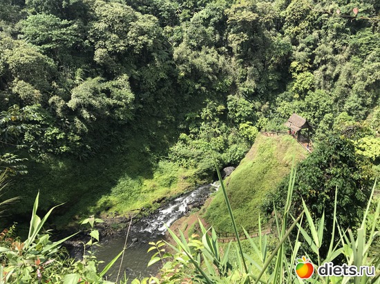 425 ����: ������ 2017. ����