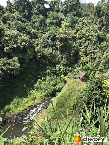 426 ����: ������ 2017. ����