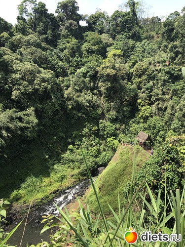 427 ����: ������ 2017. ����