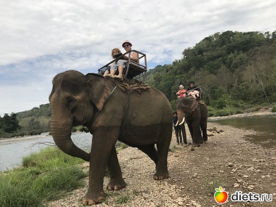 47 ����: ������ 2017. ����