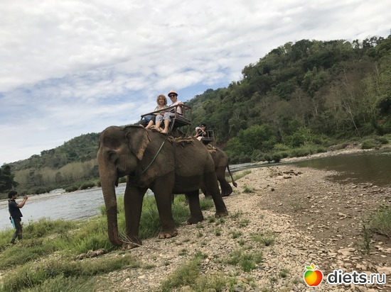 48 ����: ������ 2017. ����