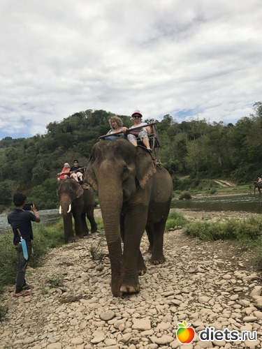 49 ����: ������ 2017. ����