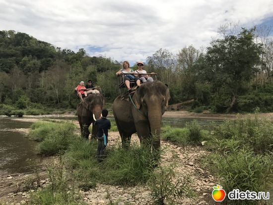 50 ����: ������ 2017. ����