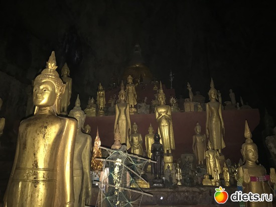 224 ����: ������ 2017. ����