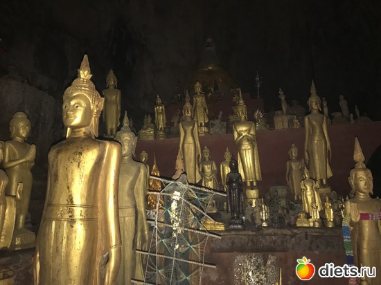 225 ����: ������ 2017. ����