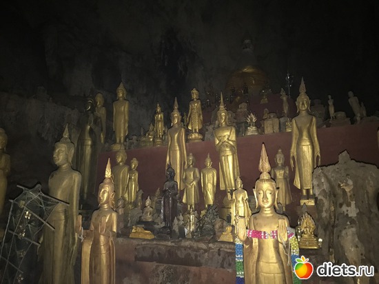 226 ����: ������ 2017. ����