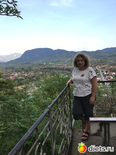 286 ����: ������ 2017. ����