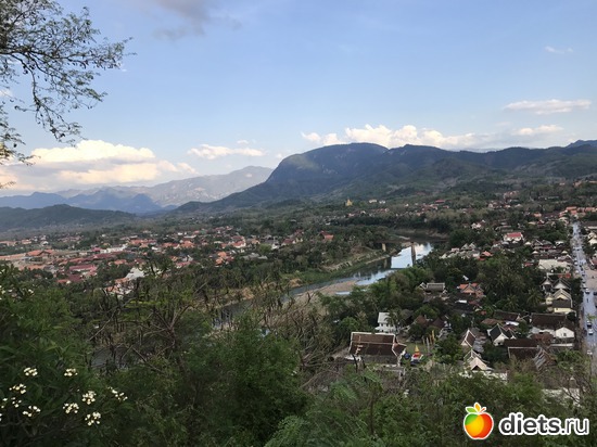 289 ����: ������ 2017. ����