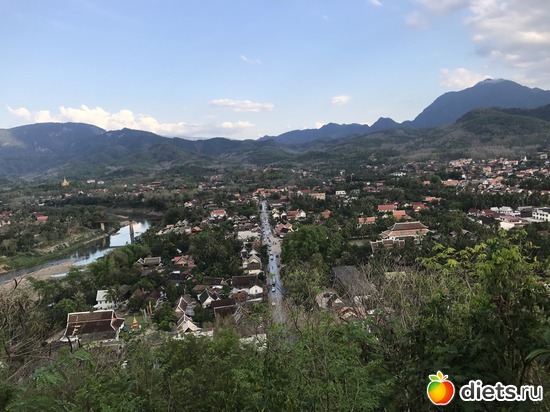 290 ����: ������ 2017. ����