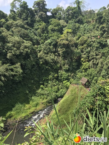 428 ����: ������ 2017. ����